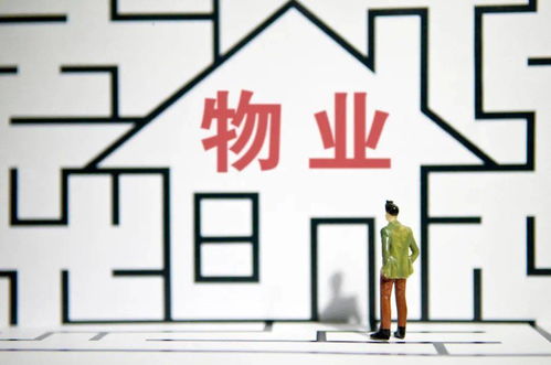 装修垃圾清运费捆绑交房引争议，烟台物业违规操作遭整改